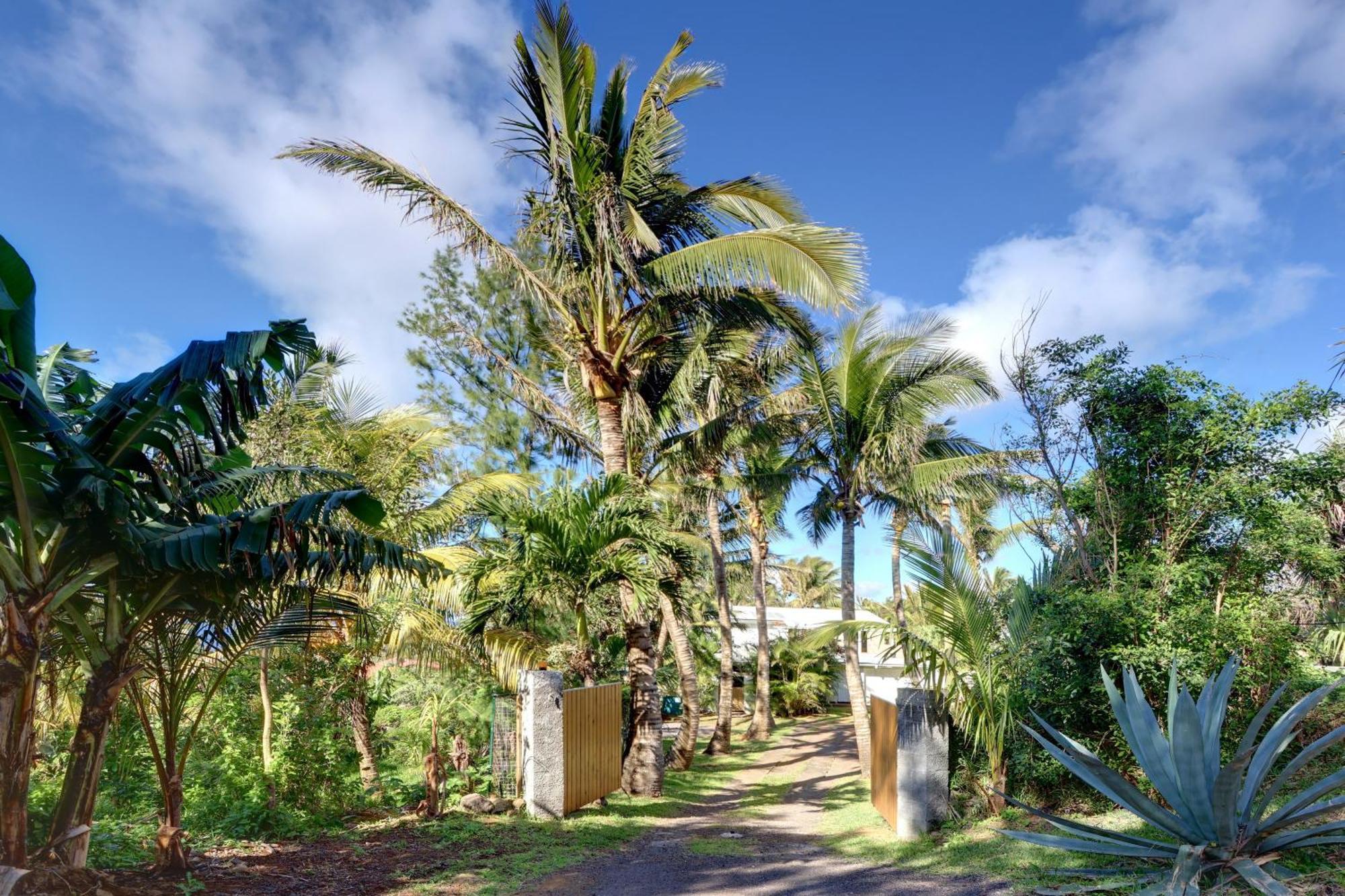 La Case Coco - Maison Climatisee A Saint-Joseph Exterior foto
